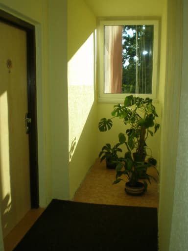 Malířské a natěračské práce | Malířství Makrepa Josef Krejčiřík ukázka práce 22. Fotka